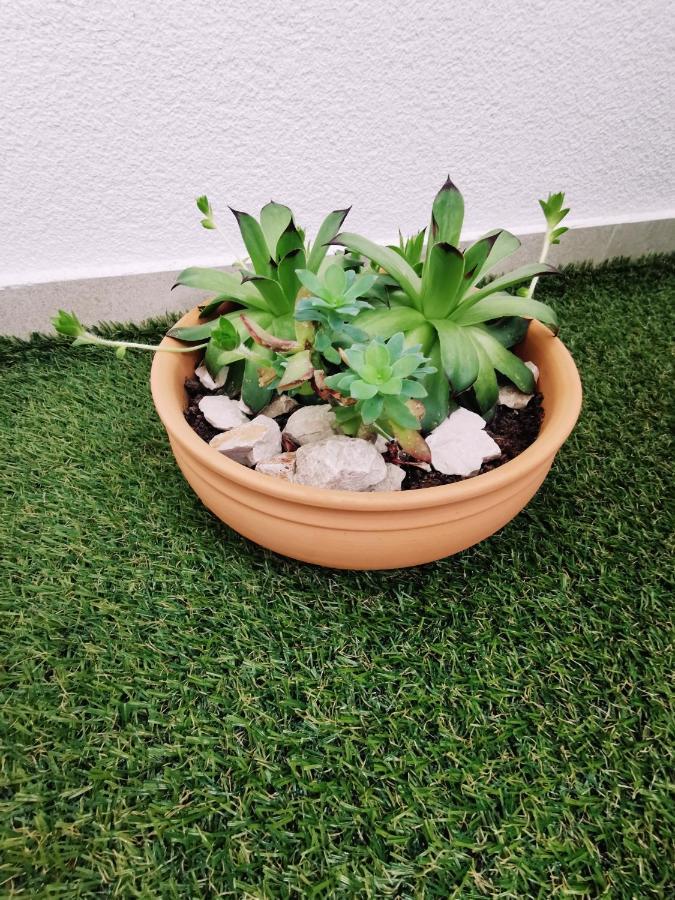 White 5 Apartment Сплит Екстериор снимка
